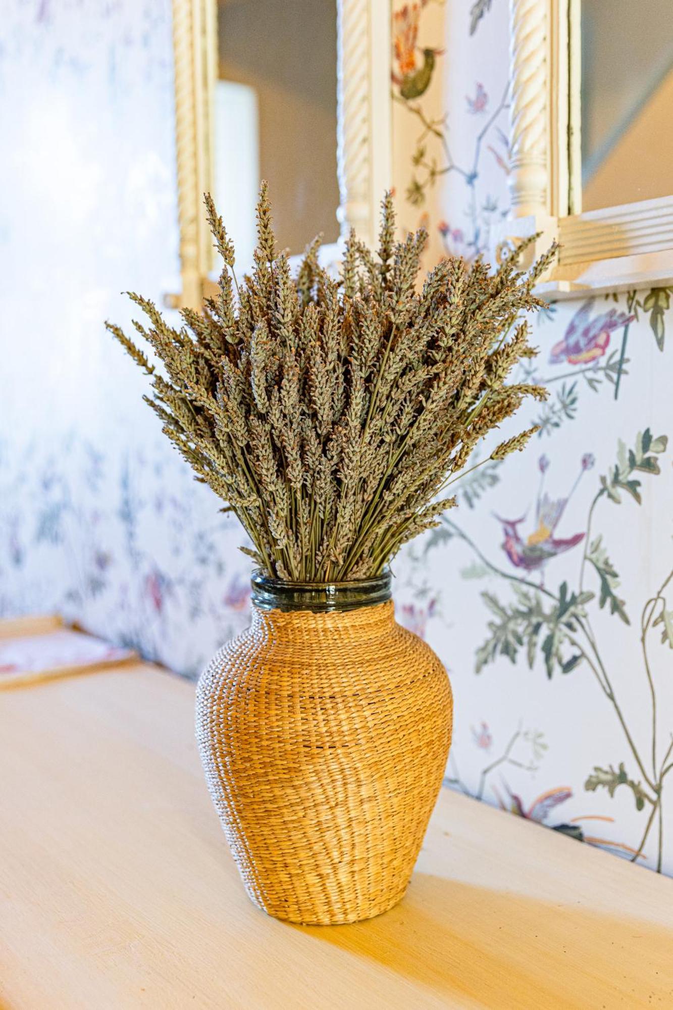Maison Bournissac Noves Ngoại thất bức ảnh